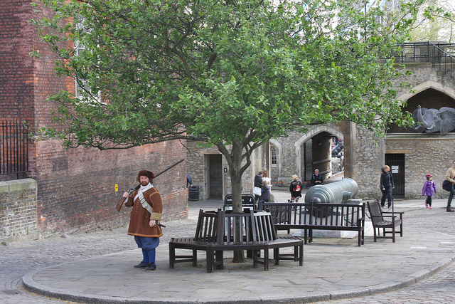 8736871991_55fb7ed90c_z