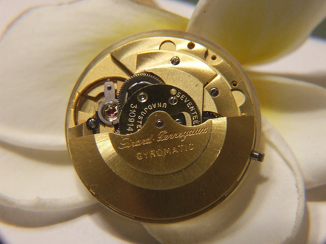 380458596_1aac8f0424_z