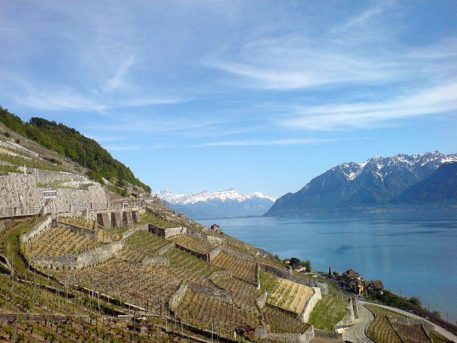 640px-Lake_Geneva_from_Lavaux