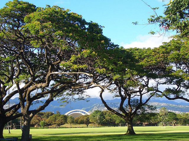 164668148_56562d666b_z