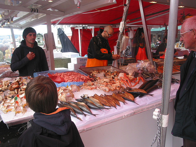 2579158070_8d07c7f69c_z