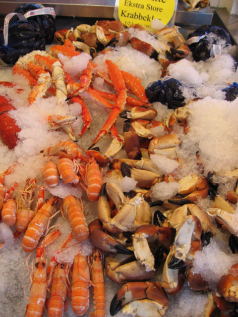 2620706435_e017e55812_z