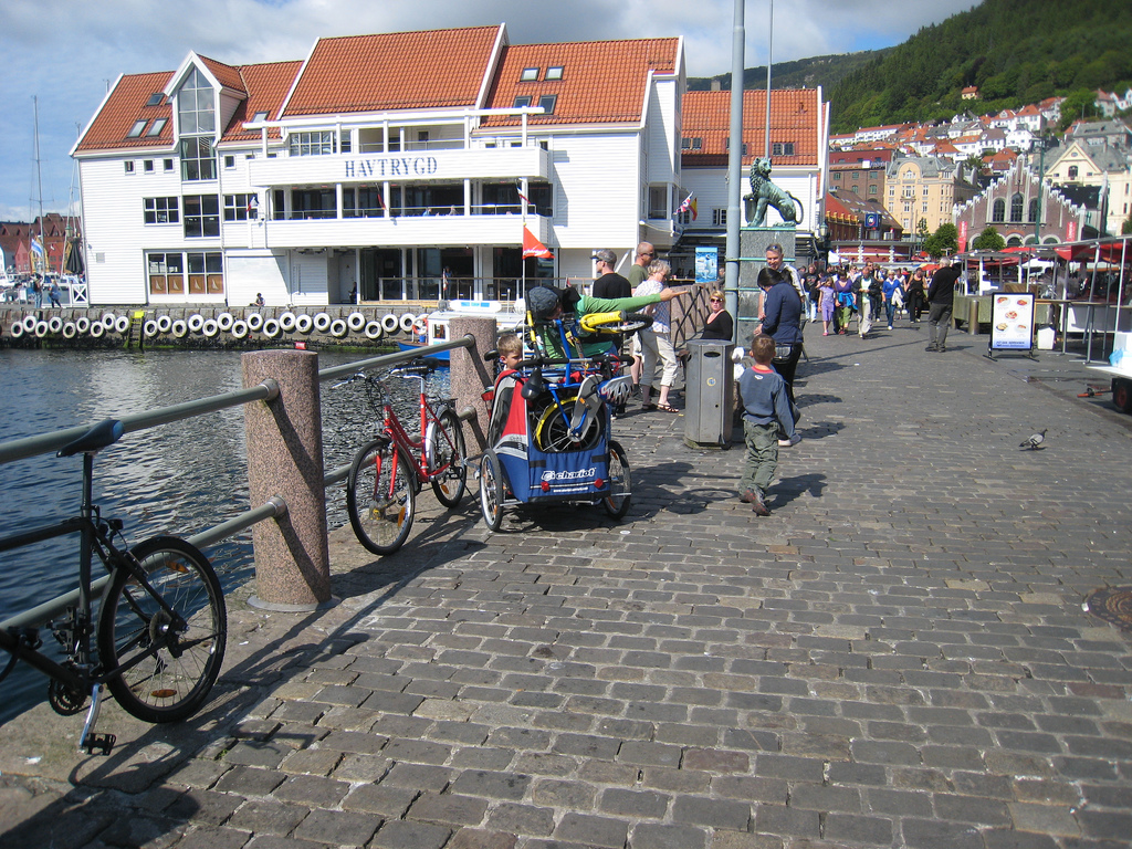 3687927450_c443023077_b