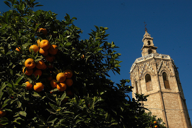 オレンジの町に春がきた バレンシアの火祭り 観光旅行メディア まっぷるトラベルガイド