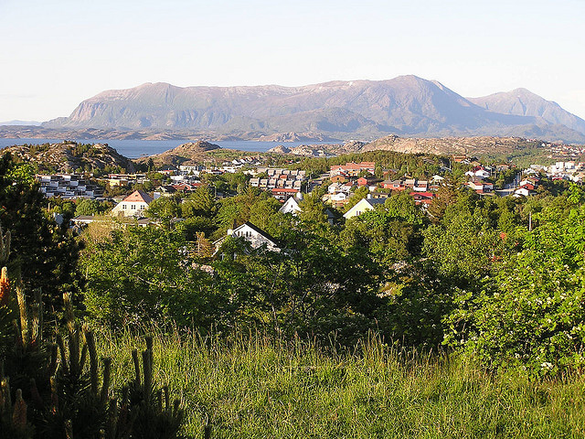 27119643_8fa56bce65_z