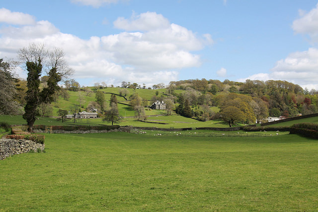 17424254879_58671febd8_z