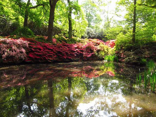 5673820366_642f9c89e5_z