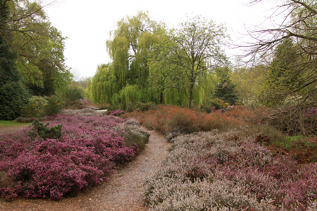 7223952780_fd9dc3eaed_z