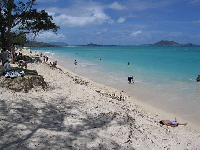 522922584_9620c636e4_z