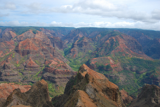 8347554001_92f8bfe868_z