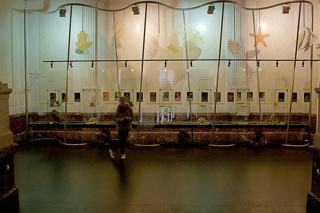 3139173750_6237de7ebd_z