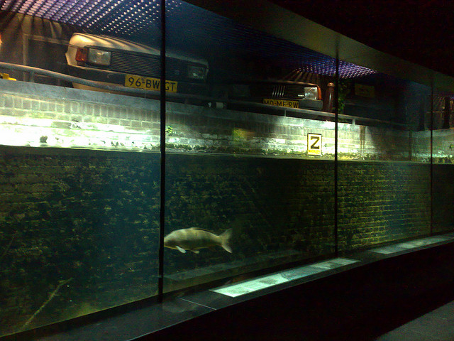 3959380596_16d87d53dd_z