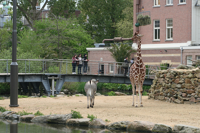 9171238469_5682f9f5c0_z