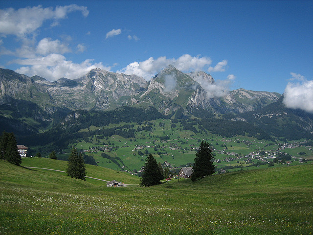 3383166660_367ea6b880_z