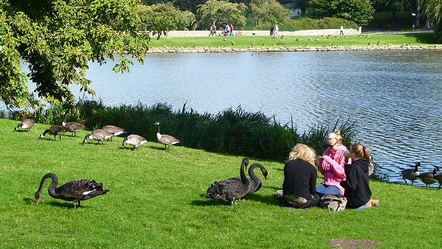 4993850518_2293bdddb7_z