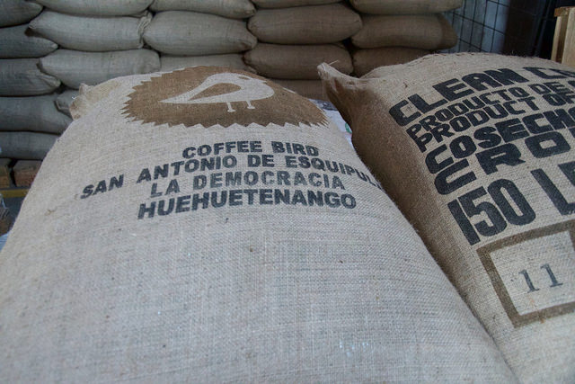 21187509571_474d35739f_z