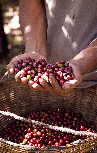 3593073644_a395e4bffb_z