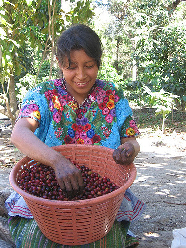 378423706_9ff32b6dda_z