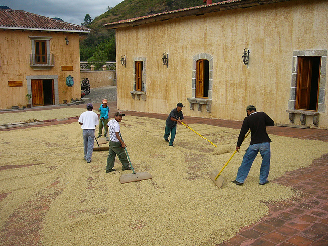 7580327054_ce6ed5369e_z