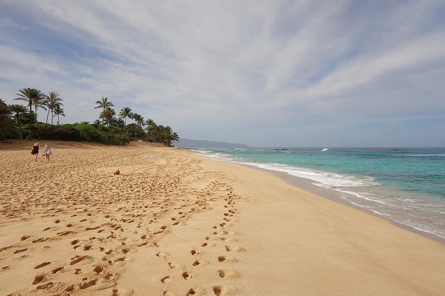 13945842363_c2efa950a1_z