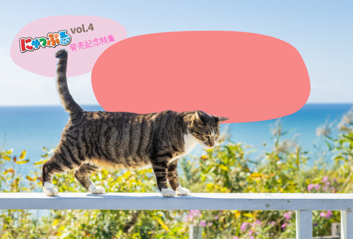 にゃっぷる取材紀行