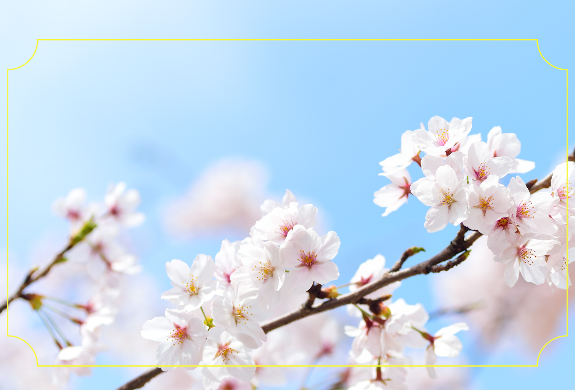 運気を上げたいなら東北東にご注目！春の開運旅