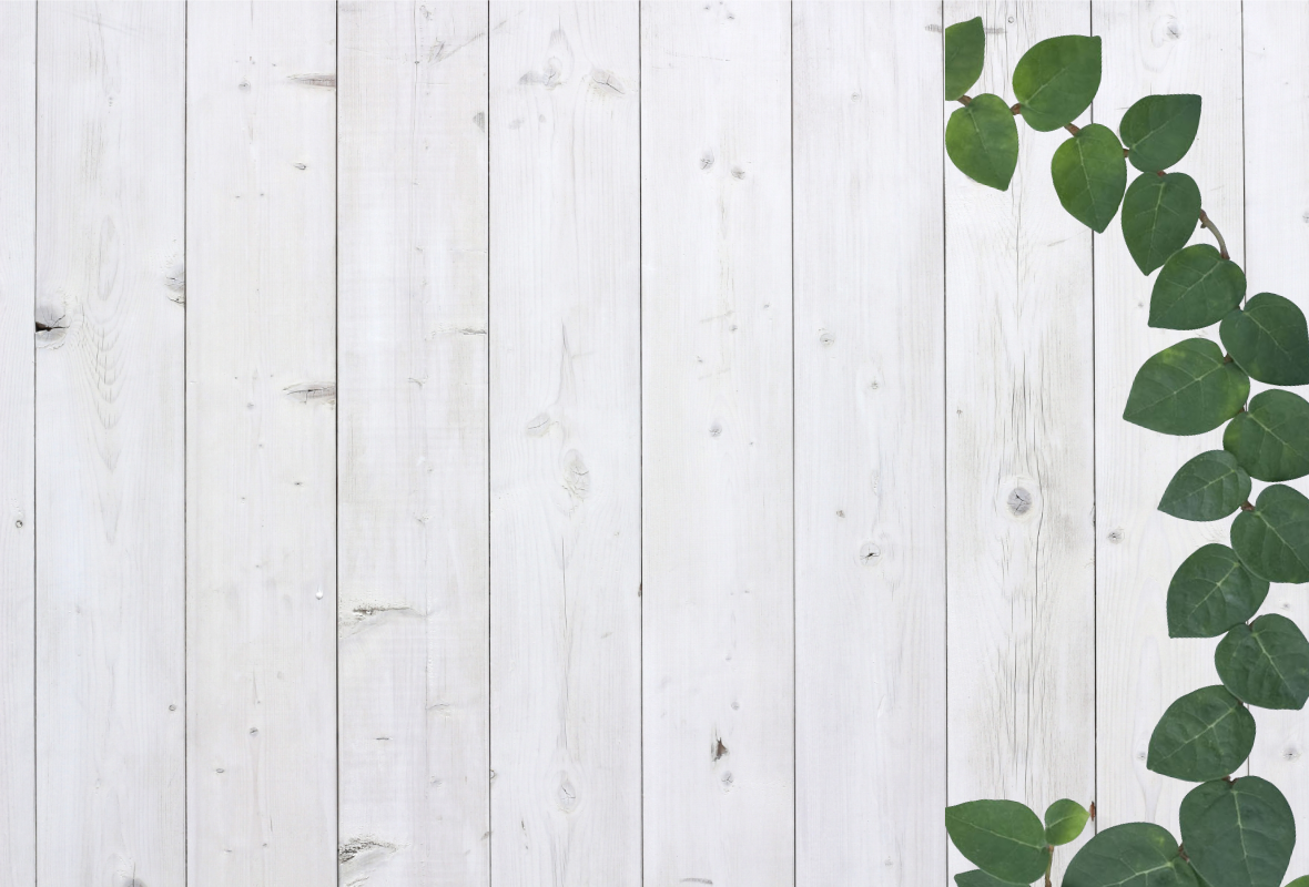 一生に一度は渡りたい日本の吊り橋