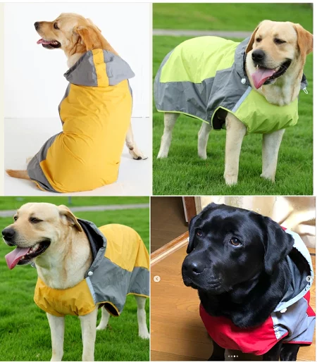 犬用レインコートのおすすめ15選　～雨の日だっておしゃれに快適にワンちゃんと散歩を楽しもう～