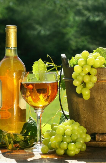 【オレンジワインおすすめ12選】ワイン好きなら知っておきたいオレンジワインの魅力と「イタリア・フリウリのワイン」「ジョージアワイン」を中心にご紹介します！